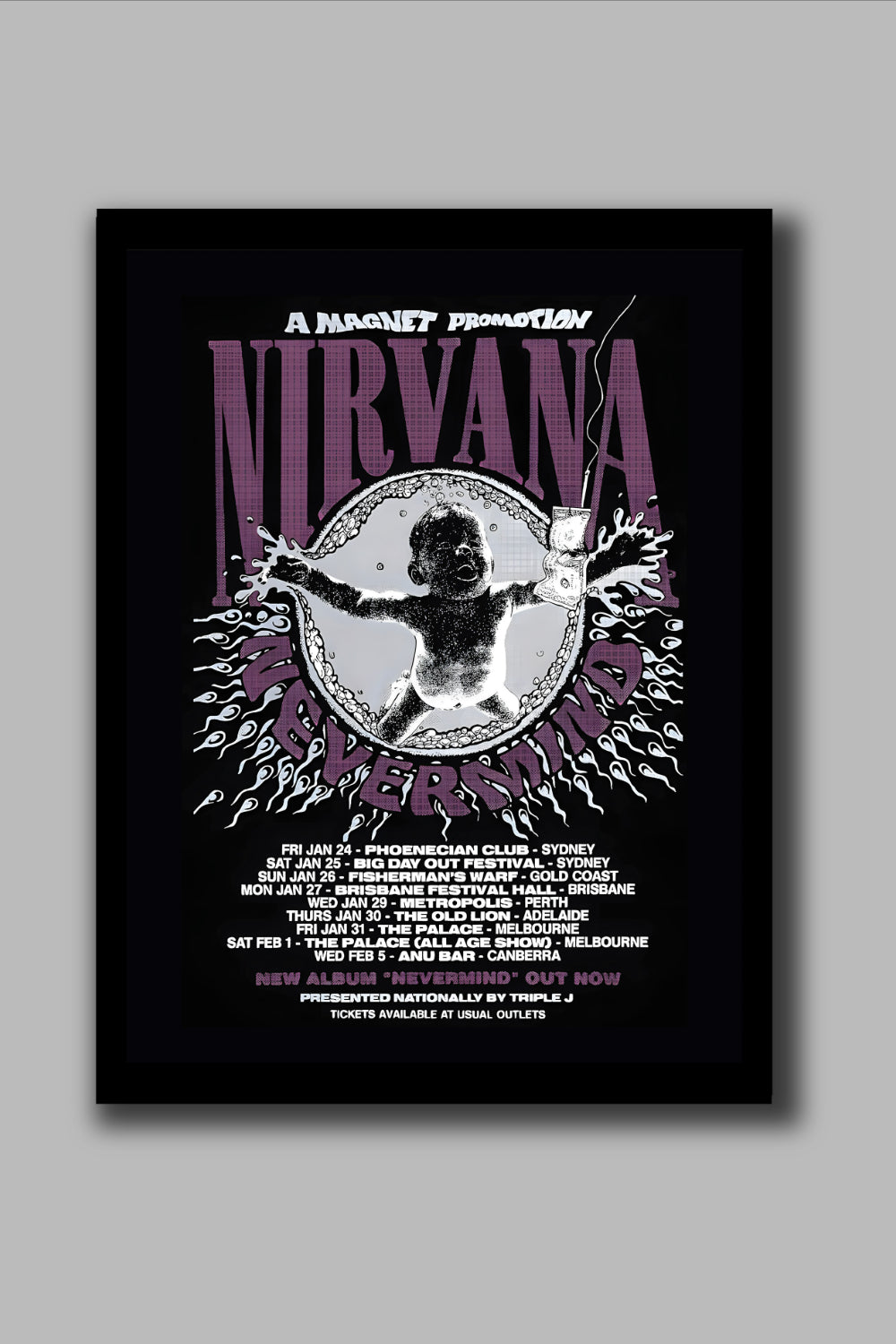 NIRVANA NEVERMIND FRAME